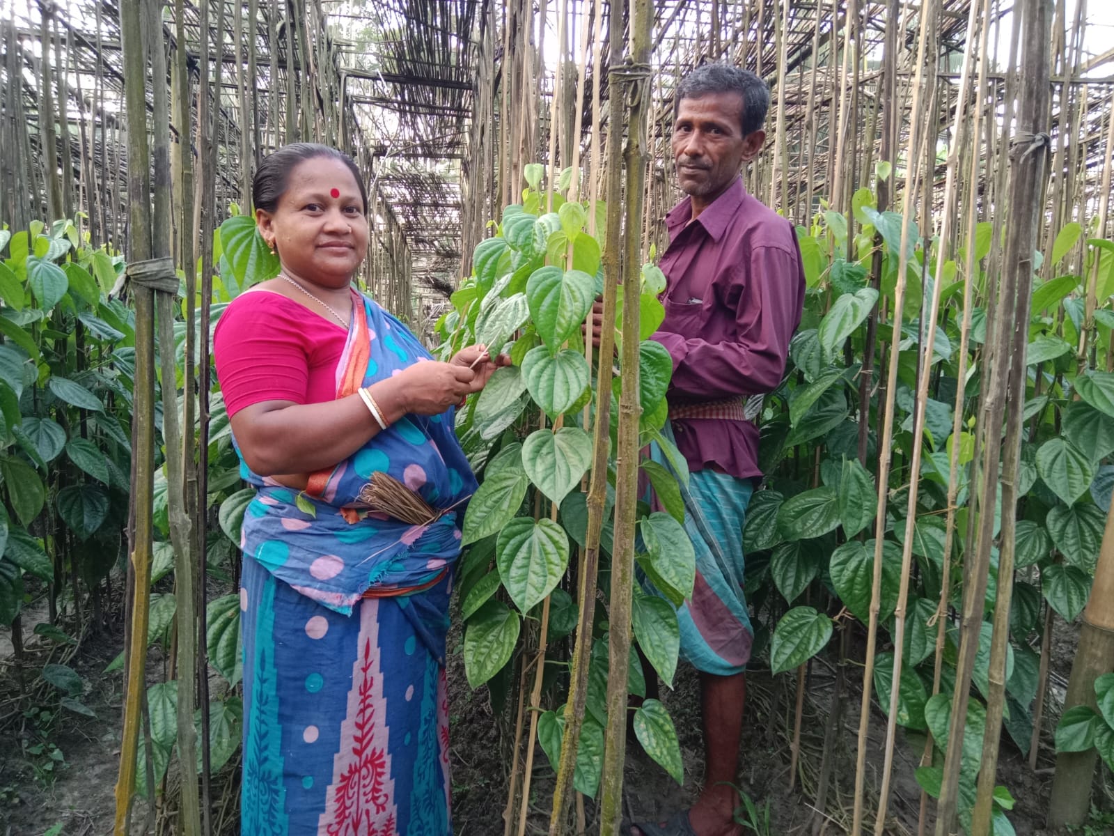 স্বপ্ন থেকে বাস্তবতার গল্পঃ পূর্নিমা রানী বিশ্বাস