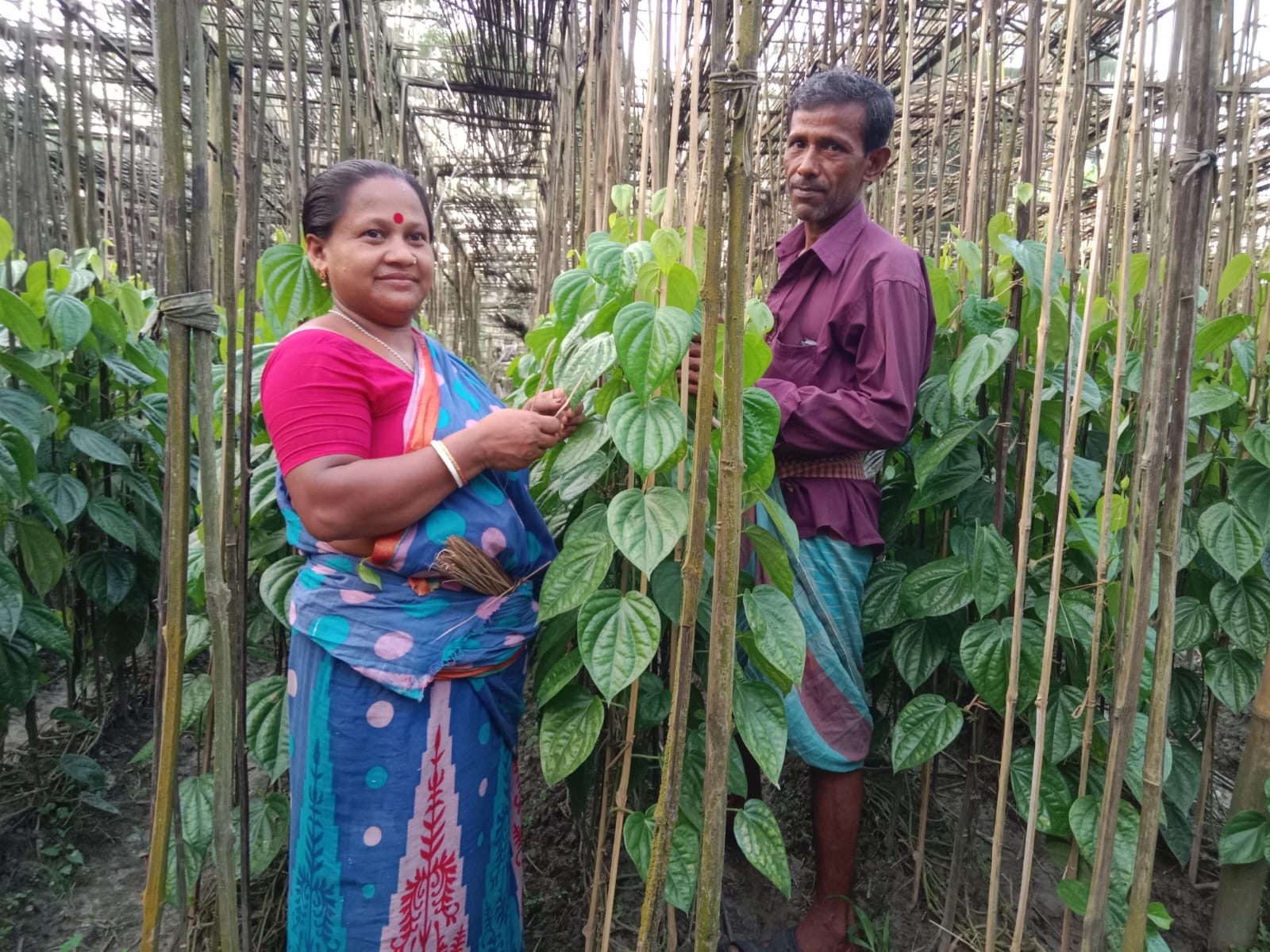 পূর্নিমা রানী বিশ্বাস